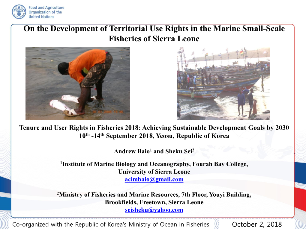 On the Development of Territorial Use Rights in the Small-Scale Fisheries