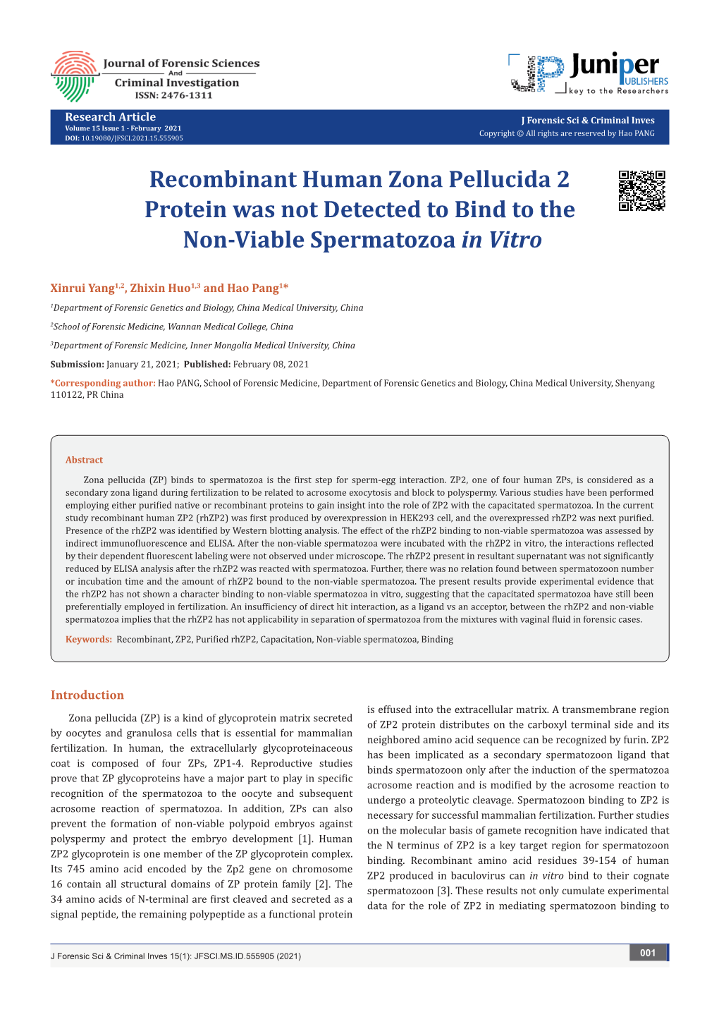 Recombinant Human Zona Pellucida 2 Protein Was Not Detected to Bind to the Non-Viable Spermatozoa in Vitro