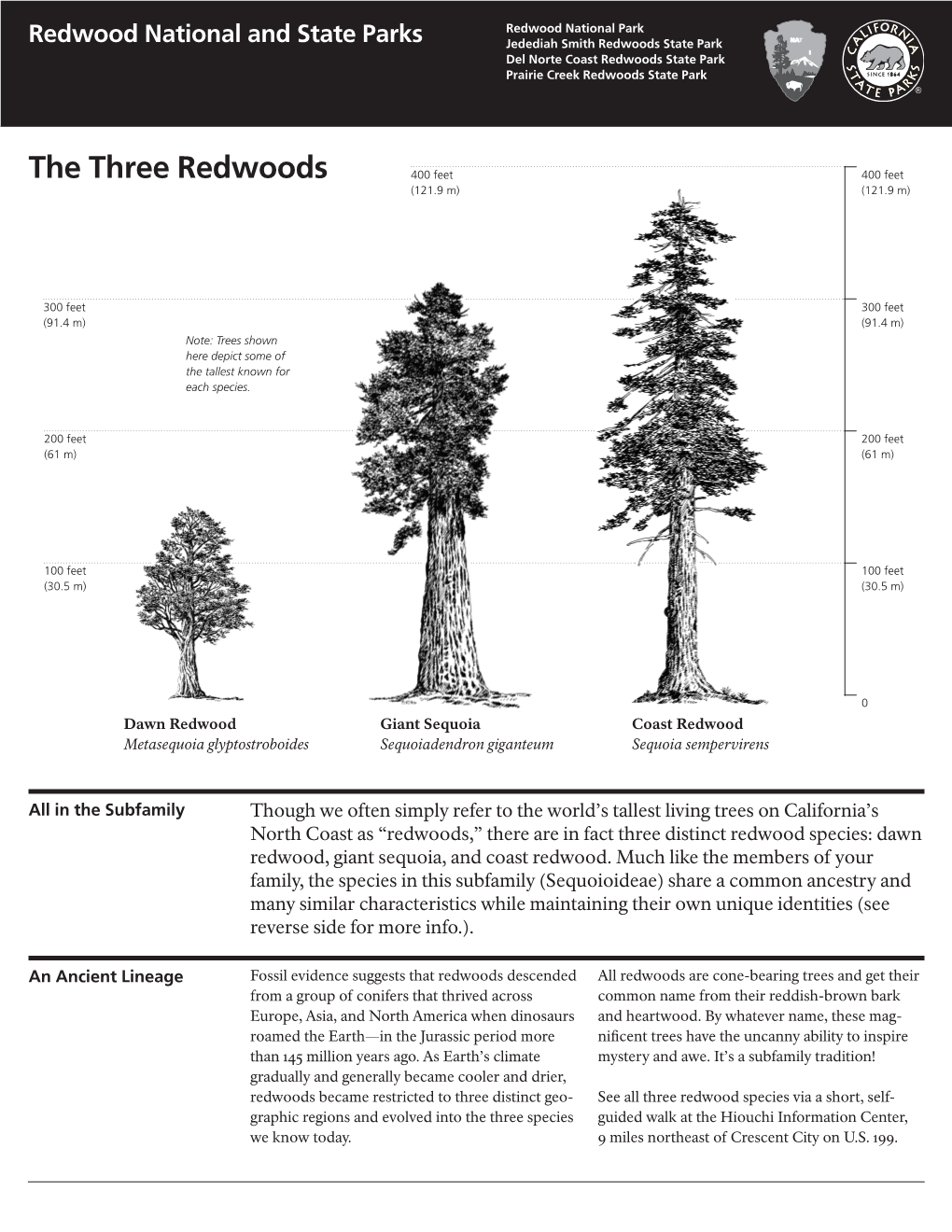 The Three Redwoods 400 Feet 400 Feet (121.9 M) (121.9 M)