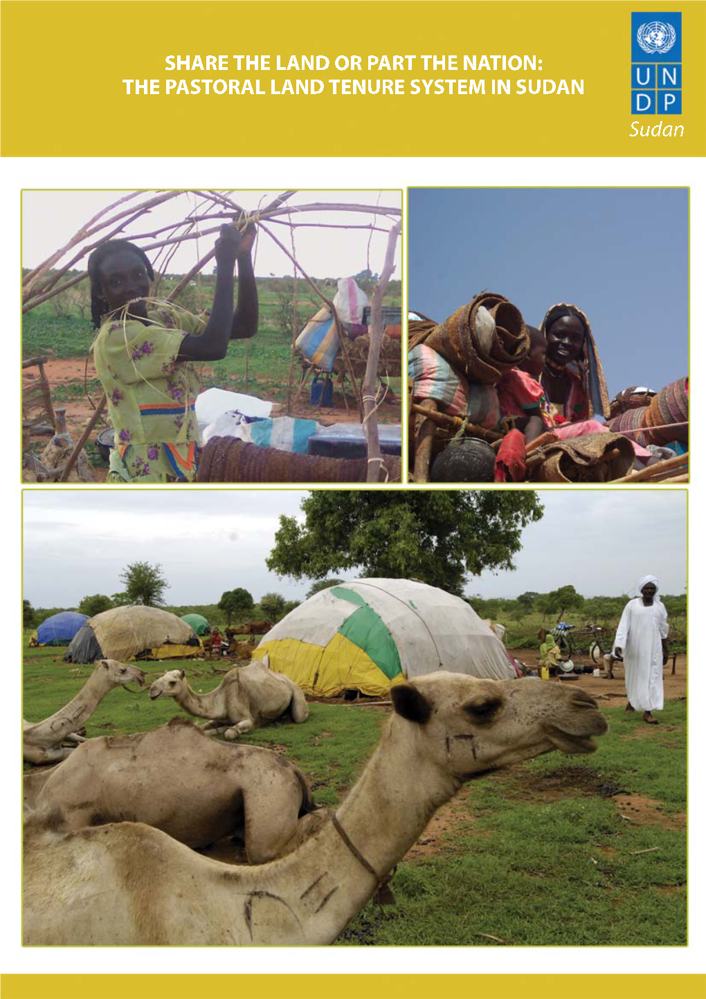 The Pastoral Land Tenure System in Sudan (STUDY 3)