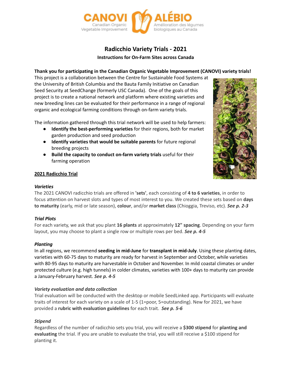 2021 Radicchio Variety Trial Instructions EN