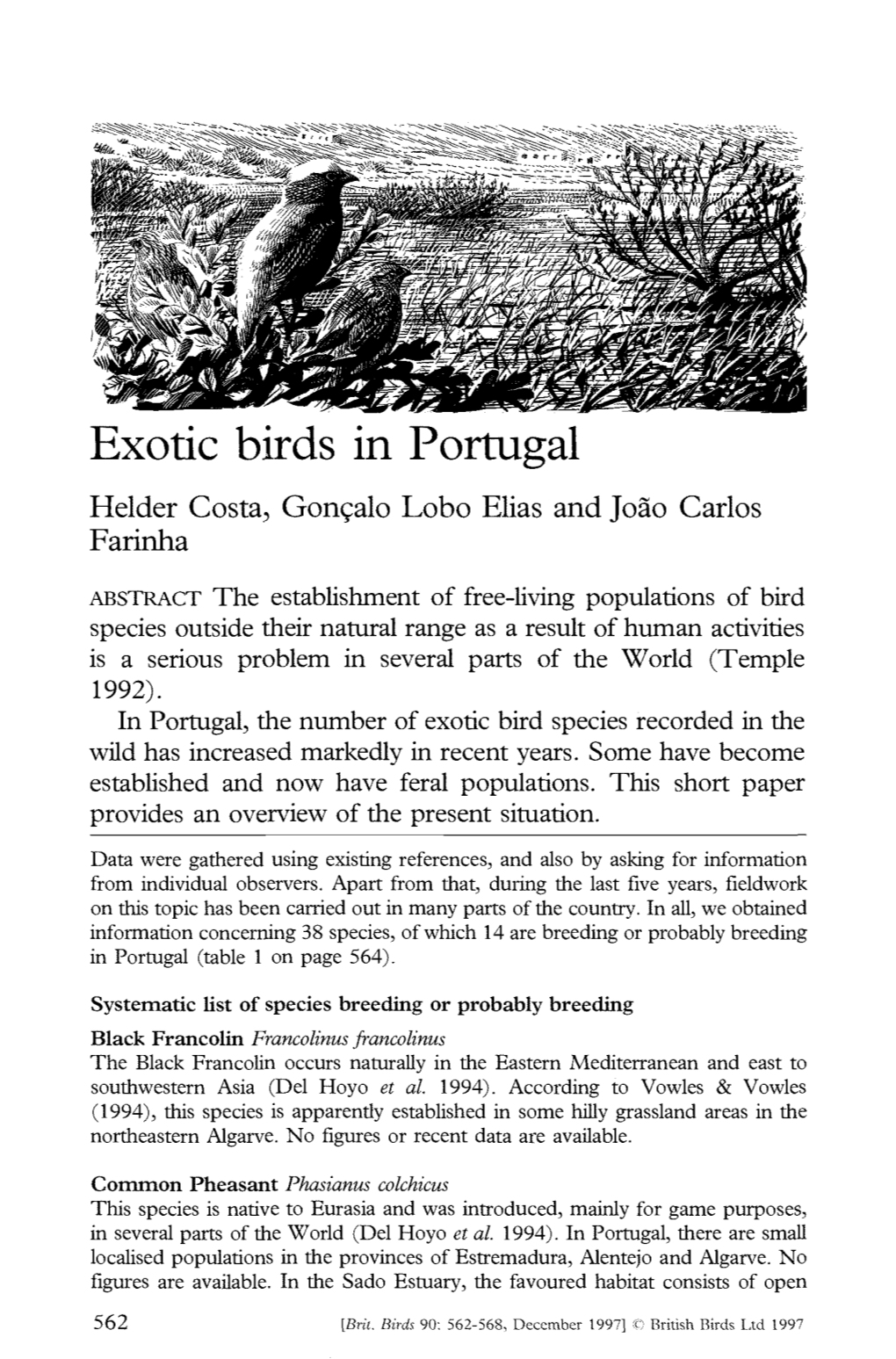 Exotic Birds in Portugal Helder Costa, Gongalo Lobo Elias and Joao Carlos Farinha