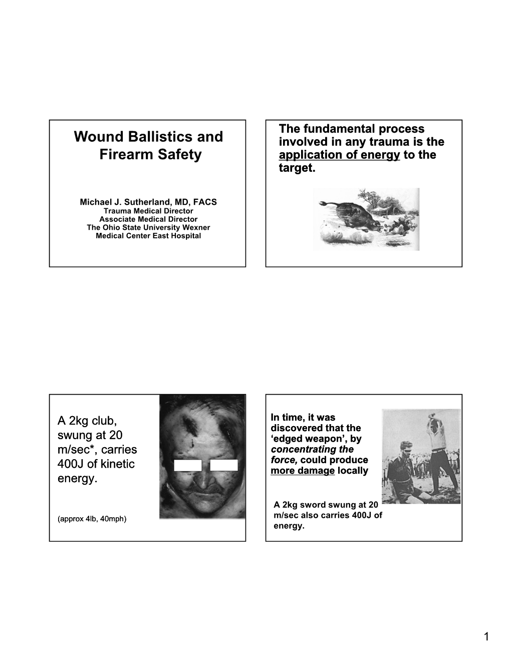Wound Ballistics and Firearm Safety