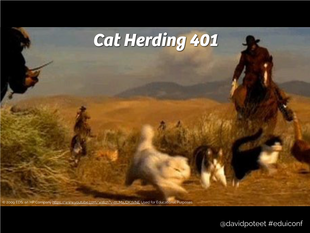 Cat Herding 401