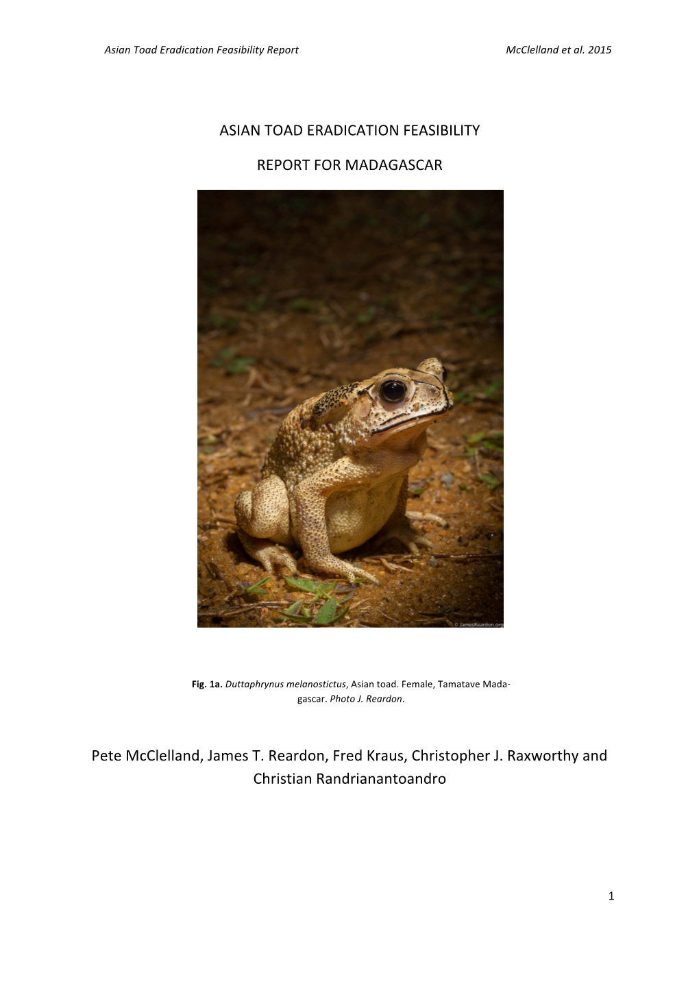 Asian Toad Eradication Feasibility Report for Madagascar