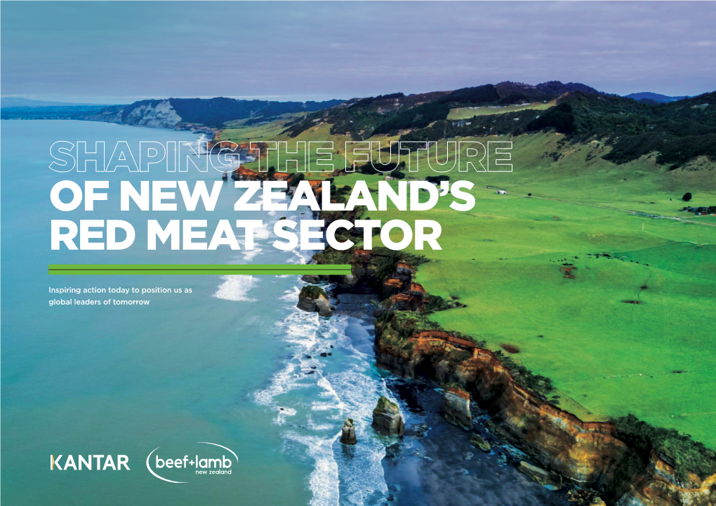 SHAPING the FUTURE of NEW ZEALAND's RED MEAT SECTOR What This Playbook Is Designed to Do