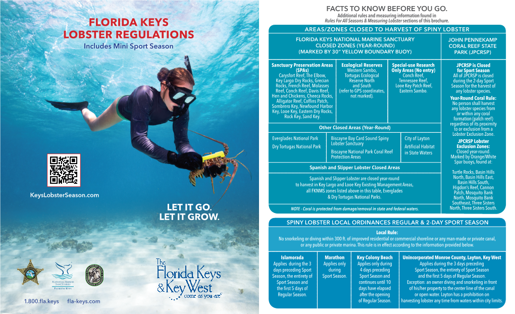 Florida Keys Lobster Regulations