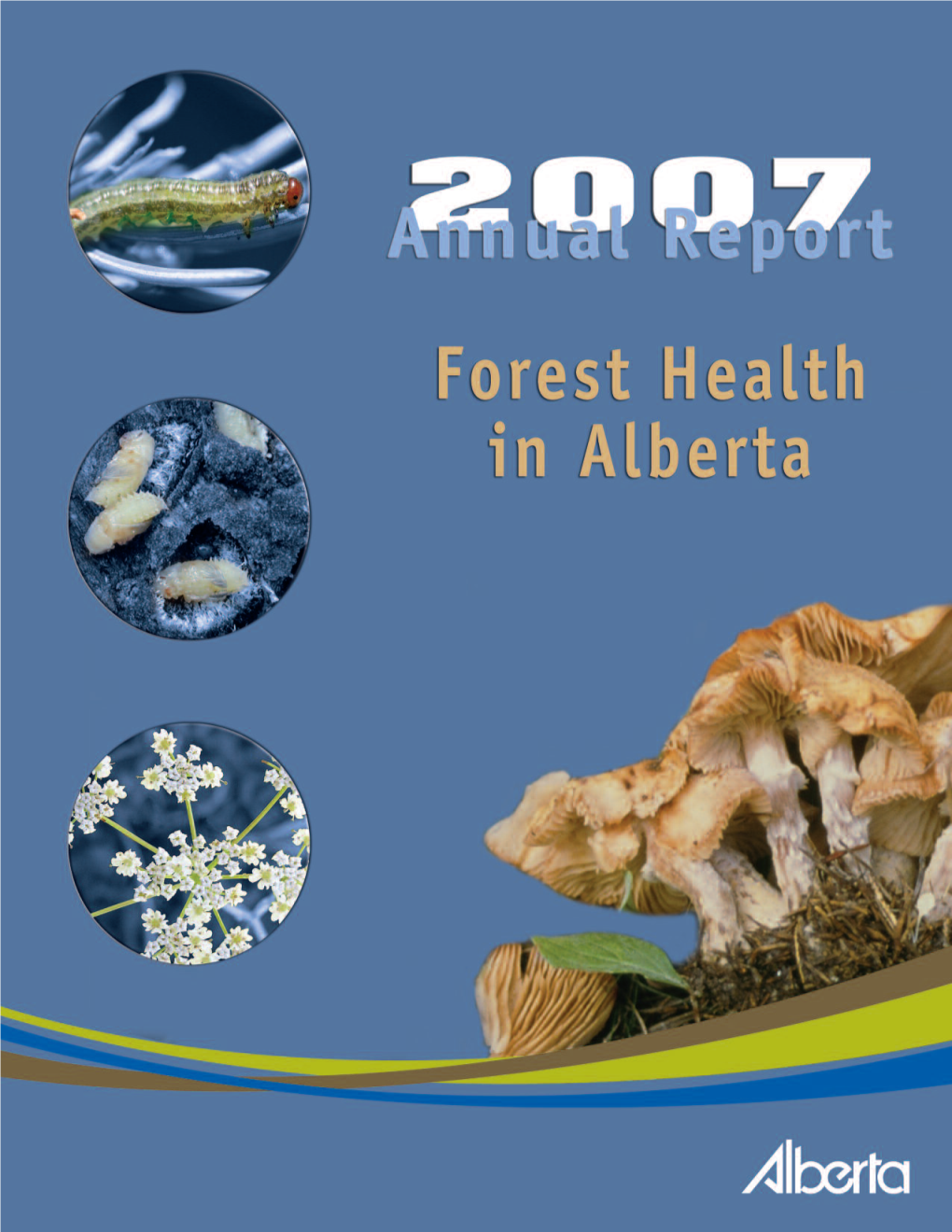 2007 Annual Report: Forest Health in Alberta