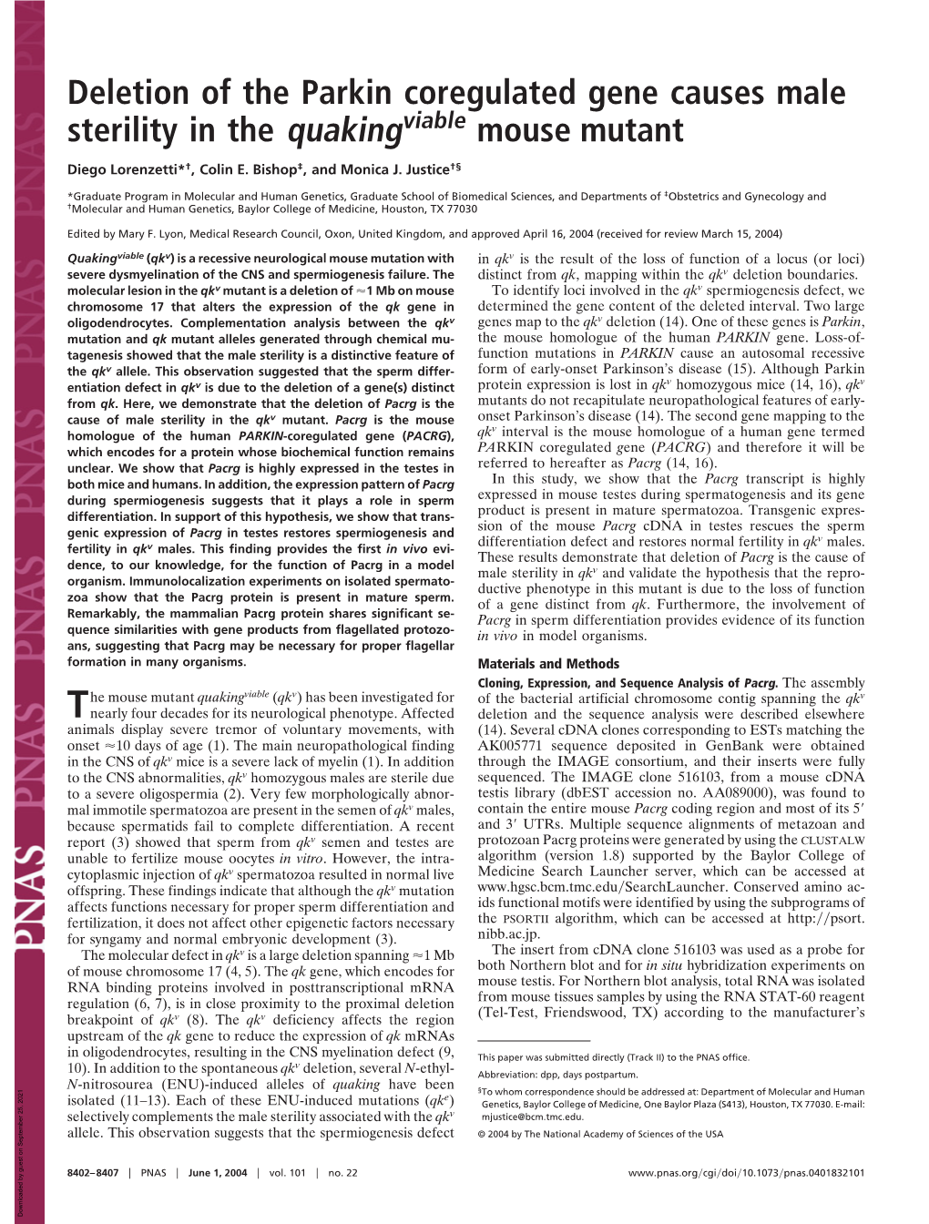 Deletion of the Parkin Coregulated Gene Causes Male Sterility in the Quakingviable Mouse Mutant