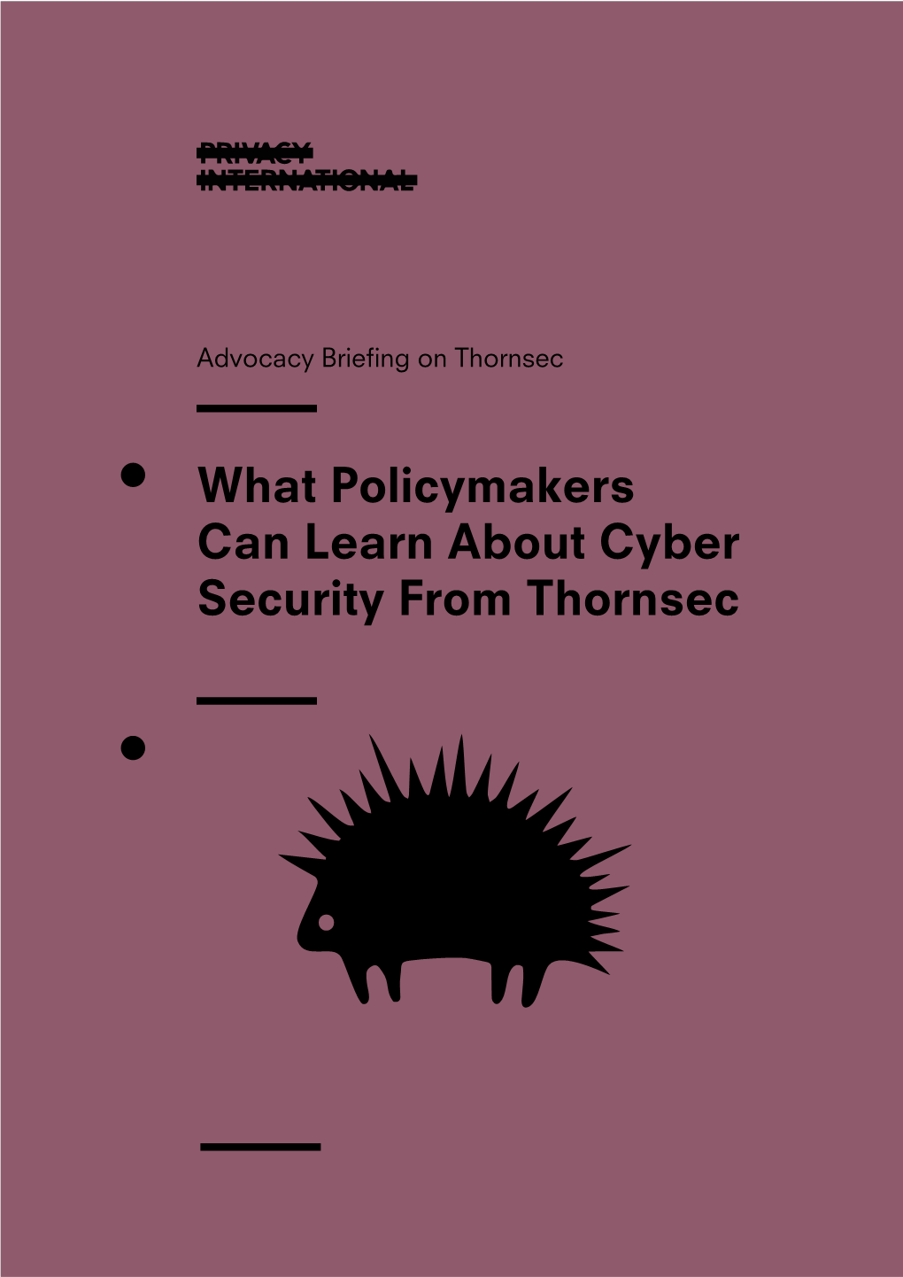 What Policymakers Can Learn About Cyber Security from Thornsec