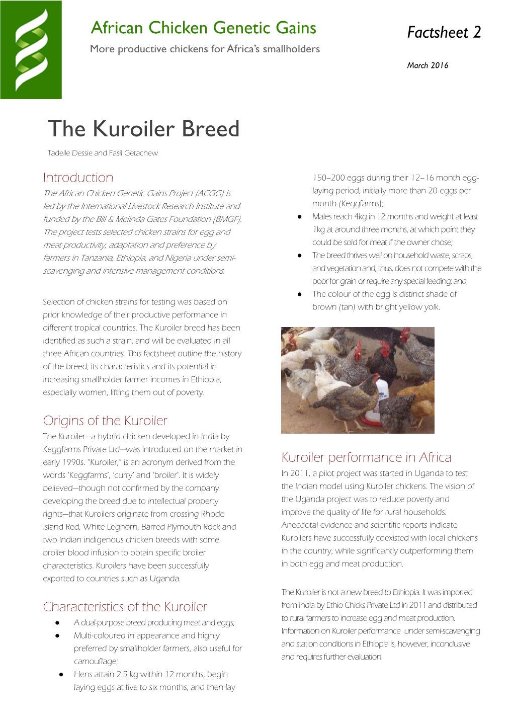 The Kuroiler Breed May 2015 Tadelle Dessie and Fasil Getachew