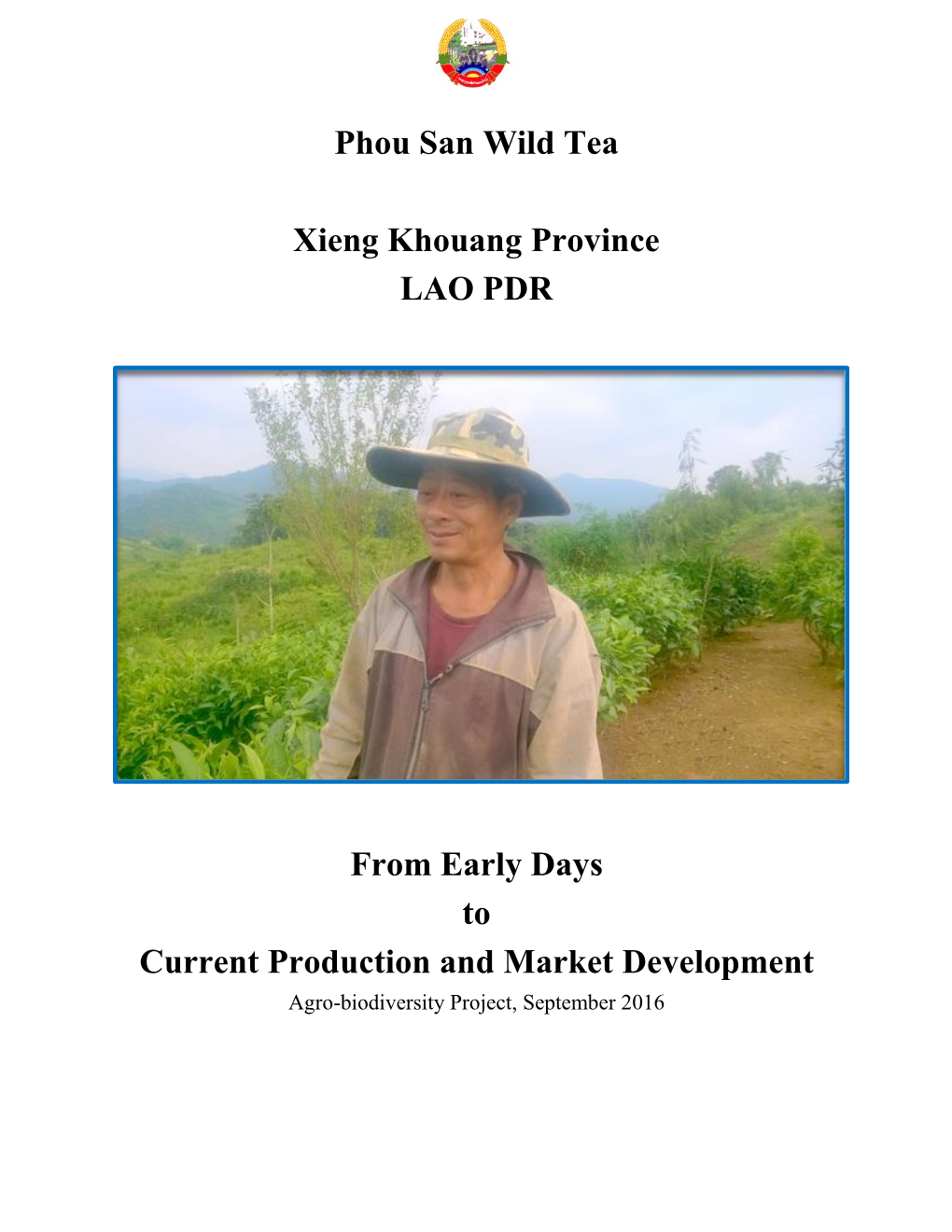 Phou San Wild Tea Xieng Khouang Province LAO PDR from Early Days to Current Production and Market Development