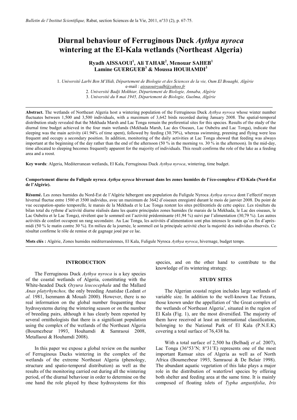 Diurnal Behaviour of Ferruginous Duck Aythya Nyroca Wintering at the El-Kala Wetlands (Northeast Algeria)