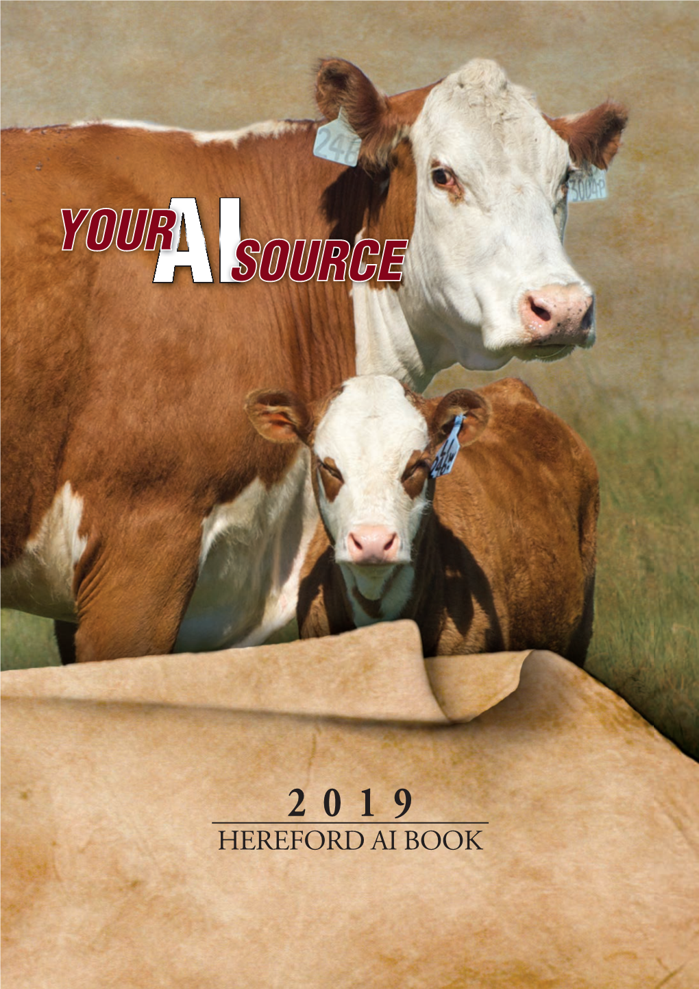 2019 HEREFORD AI BOOK GERBER ANODYNE 001A {CHB}{DLF,HYF,IEF} P43408924 — Calved: Jan