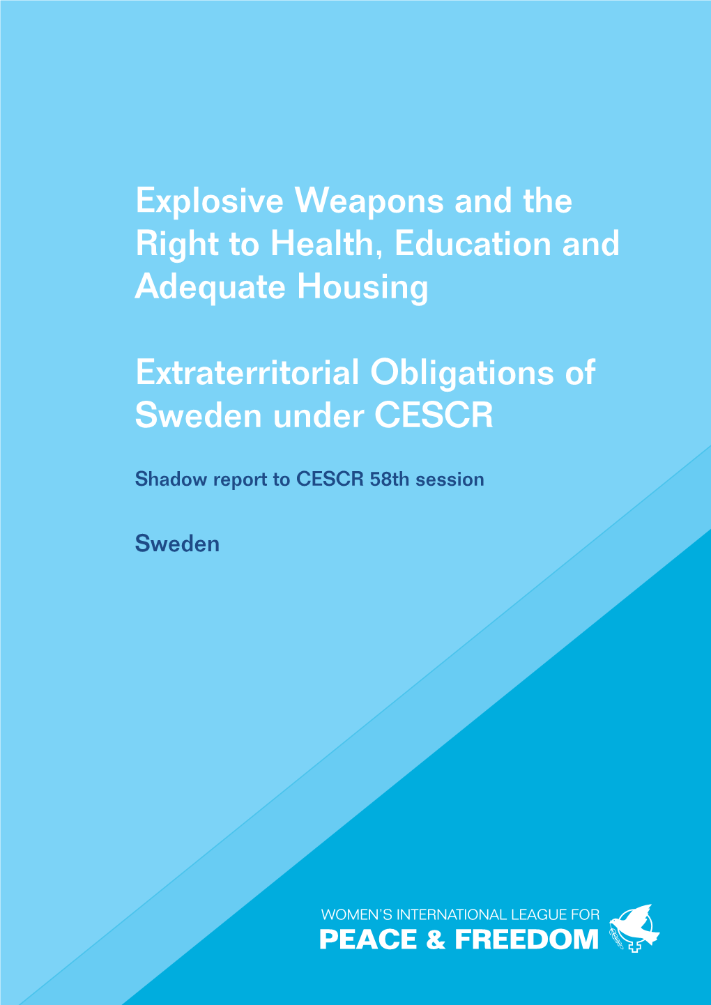 Explosive Weapons and the Right to Health, Education and Adequate Housing
