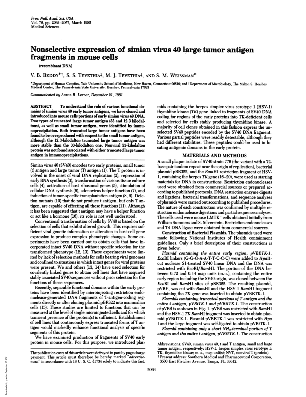 Nonselective Expression of Simian Virus 40 Large Tumor Antigen Fragments in Mouse Cells (Recombinant DNA) V