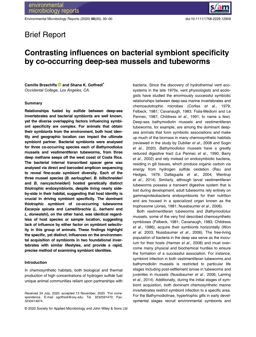 Contrasting Influences on Bacterial Symbiont Specificity by Co‐Occurring Deep‐Sea Mussels and Tubeworms