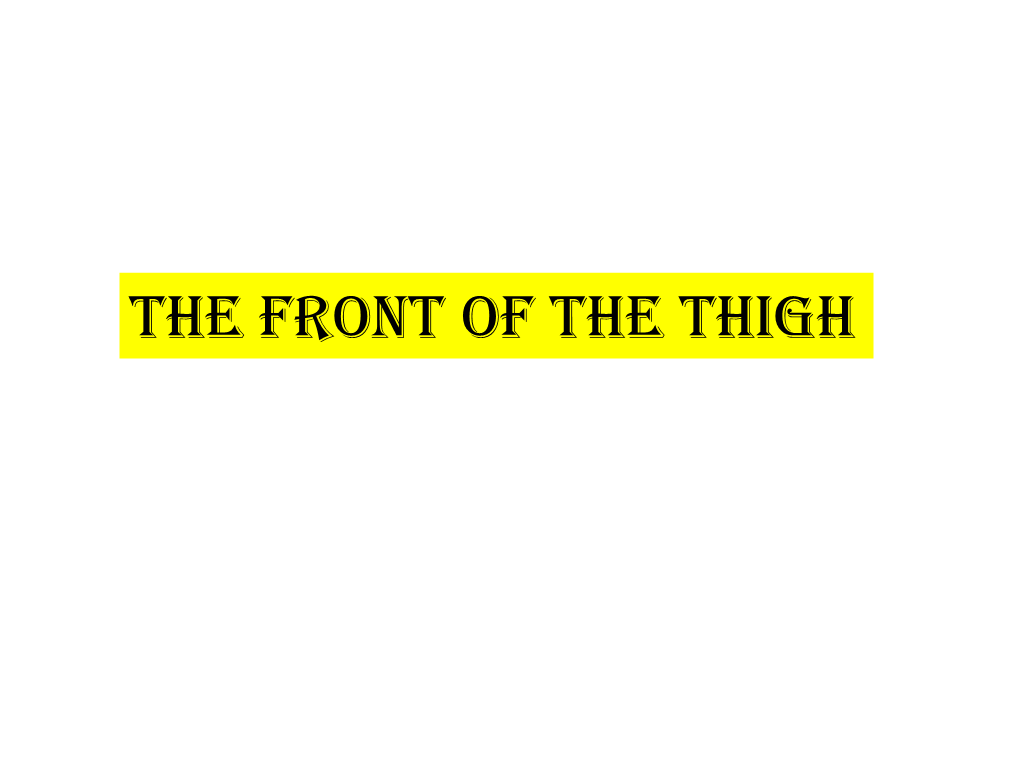 3-The-Front-Of-The-Thigh.Pdf