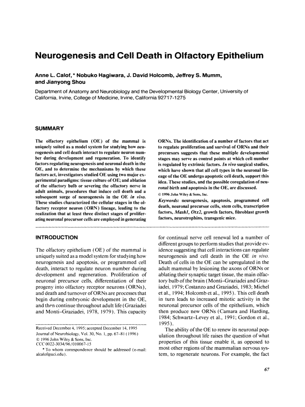 Neurogenesis and Cell Death in Olfactory Epithelium