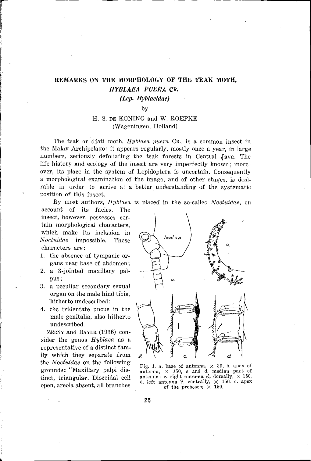 REMARKS on the Morpholocxy of the TEAK MOTH, HYBLAEA PUERA CR. (Lep. Hyblaeidae) by H. S. DE KONING and W. ROEPKE (Wageningen, Holland)