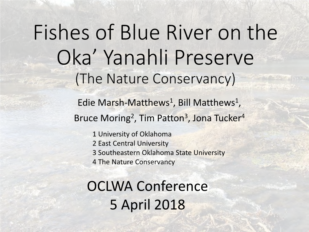 Fishes of Blue River on the Oka' Yanahli Preserve