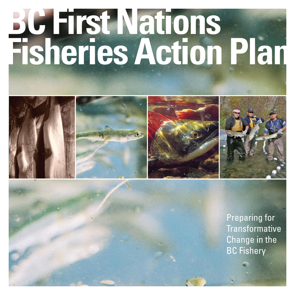 Bc First Nations Fisheries Action Plan