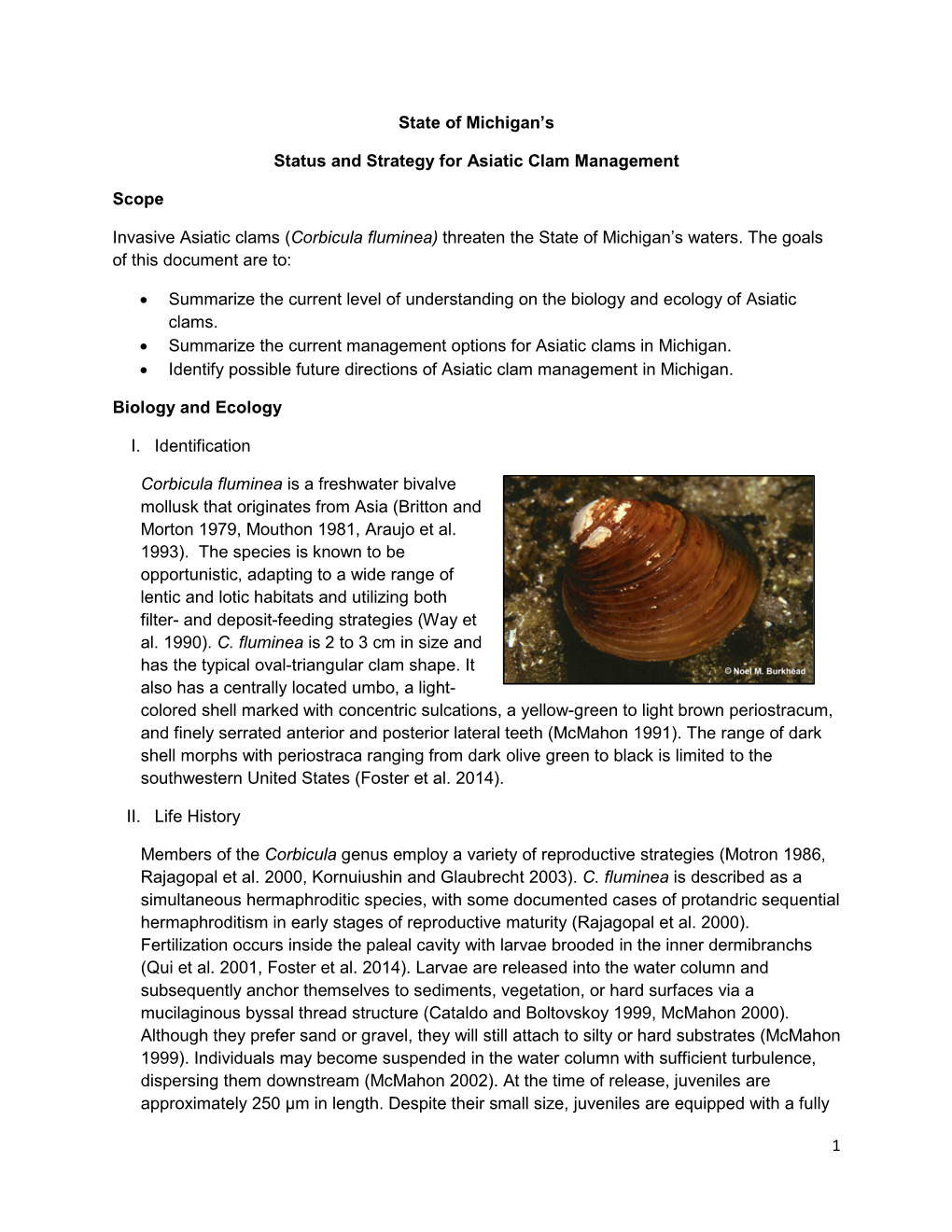 Asiatic Clam (Corbicula Fluminea) in Artificial Stream Systems