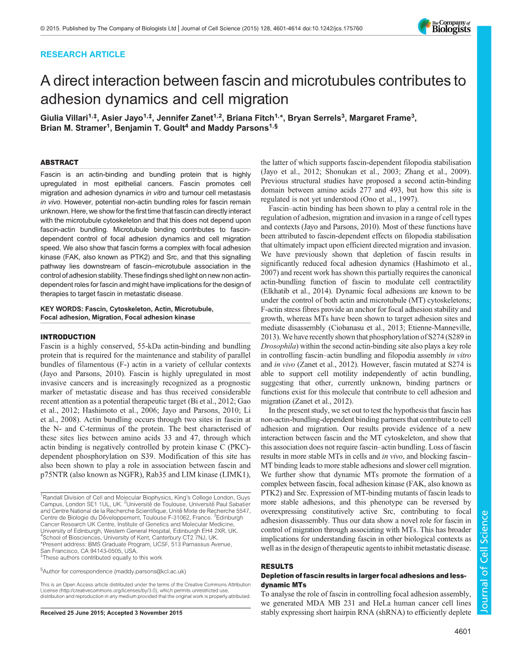 A Direct Interaction Between Fascin and Microtubules Contributes To