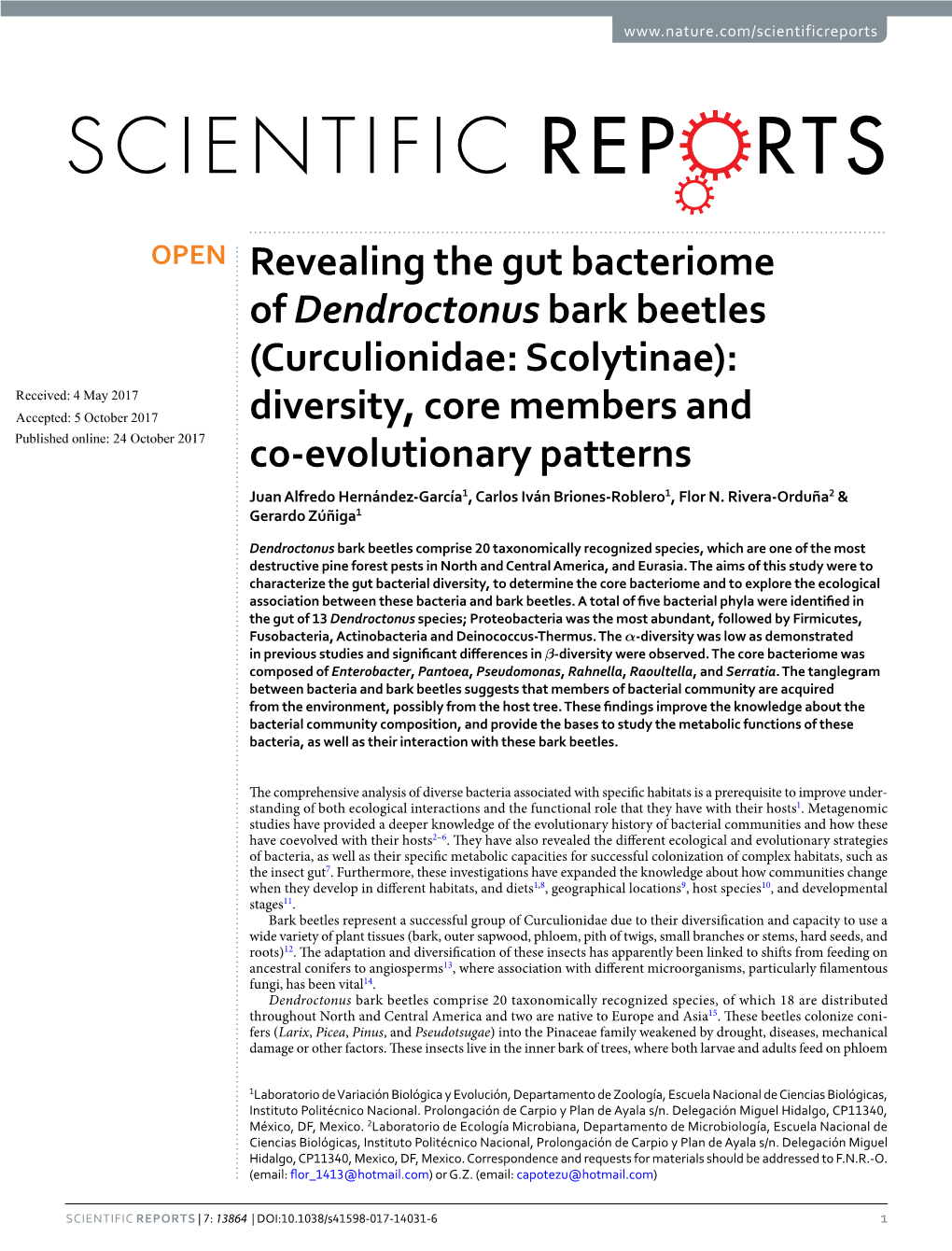 Revealing the Gut Bacteriome of Dendroctonus Bark Beetles