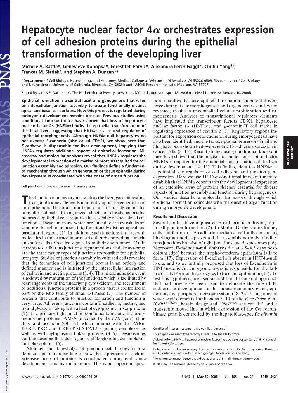 Hepatocyte Nuclear Factor 4 Orchestrates Expression of Cell Adhesion Proteins During the Epithelial Transformation of the Develo