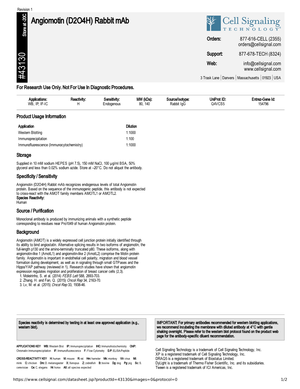 43130 Angiomotin (D2O4H) Rabbit Mab