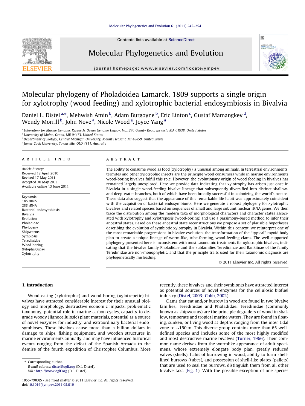 Molecular Phylogeny of Pholadoidea Lamarck, 1809 Supports a Single Origin for Xylotrophy (Wood Feeding) and Xylotrophic Bacterial Endosymbiosis in Bivalvia ⇑ Daniel L