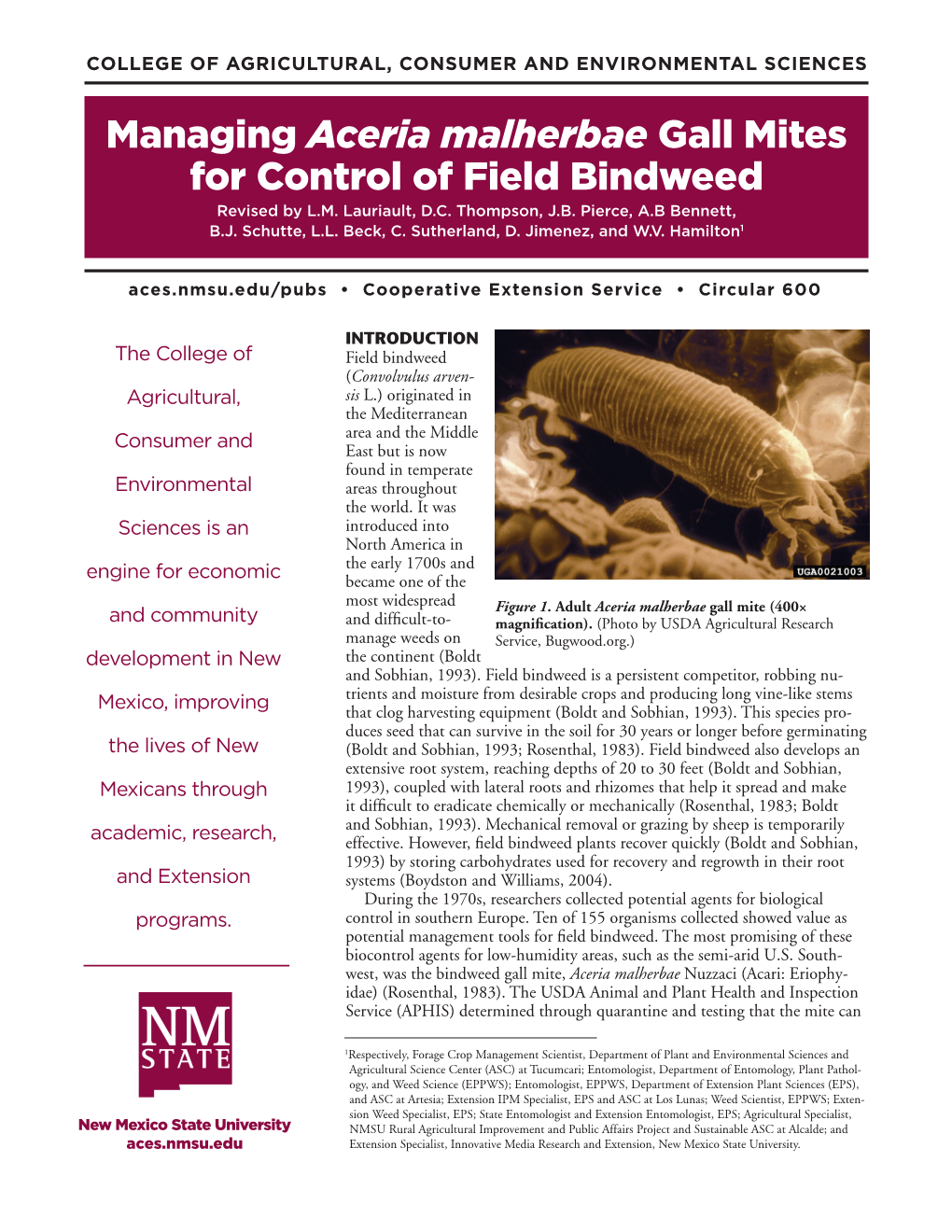 Managing Aceria Malherbae Gall Mites for Control of Field Bindweed