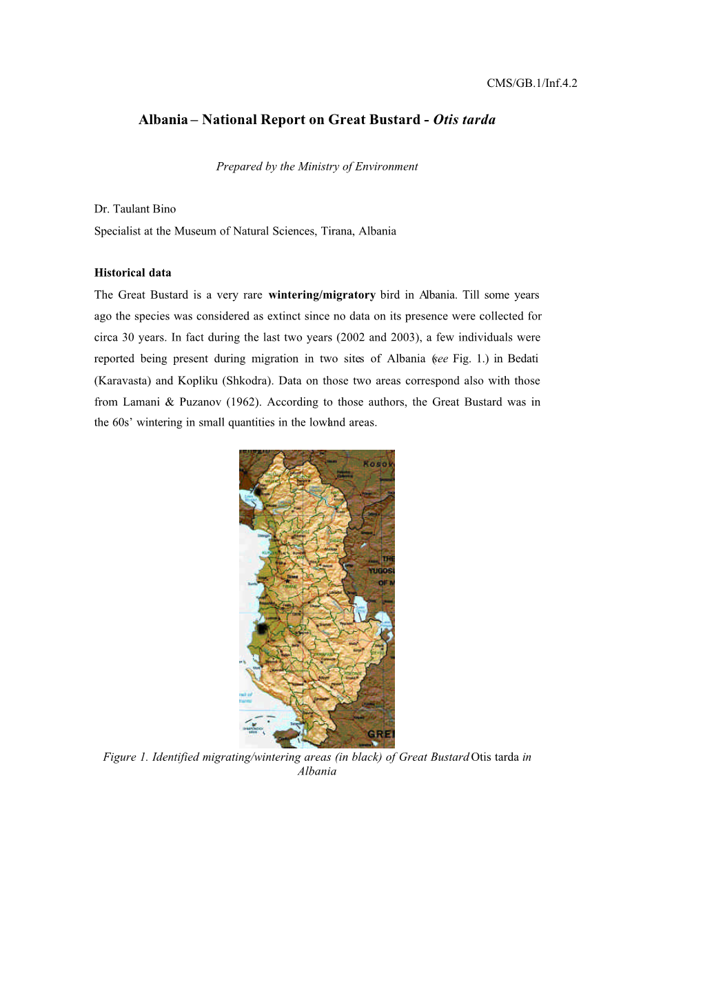 Inf 04.2 National Report Albania.Doc