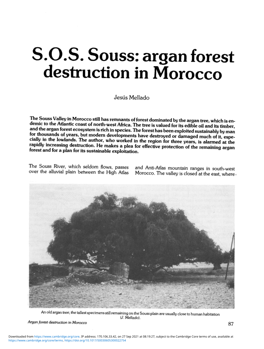 Argan Forest Destruction in Morocco