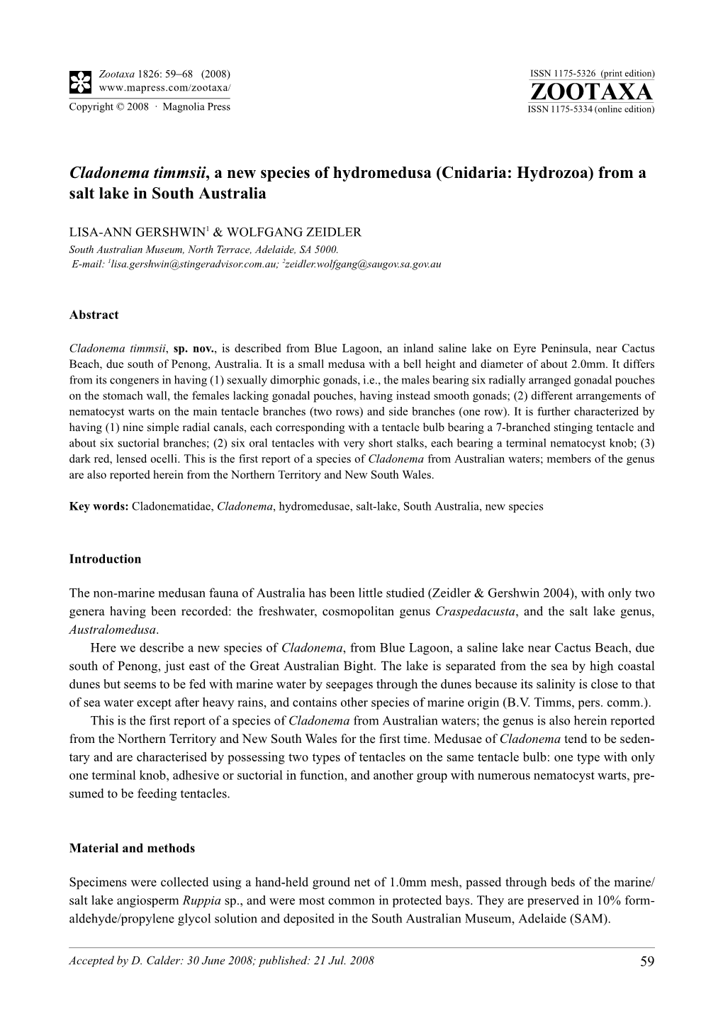 Zootaxa, Cladonema Timmsii, a New Species of Hydromedusa (Cnidaria