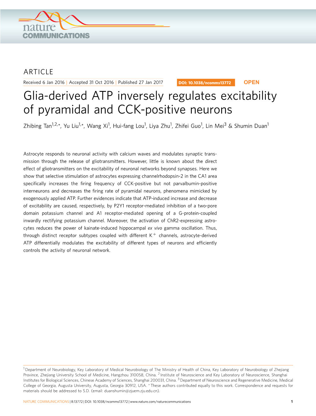 Glia-Derived ATP Inversely Regulates Excitability of Pyramidal and CCK-Positive Neurons