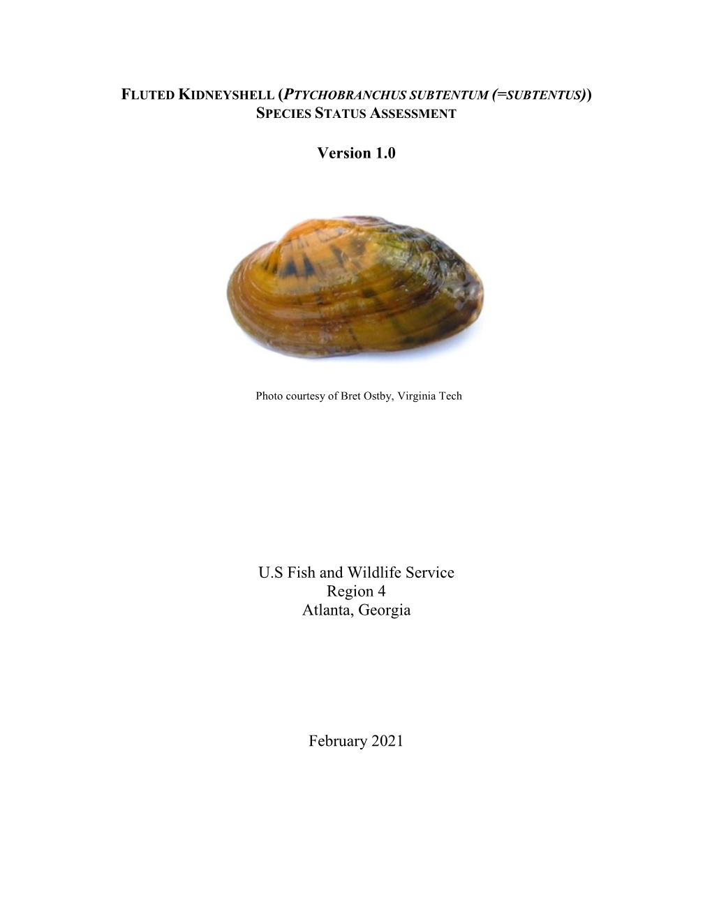 Species Status Assessment Report for the Fluted Kidneyshell (Ptychobranchus Subtentum (=Subtentus)), Version 1.0