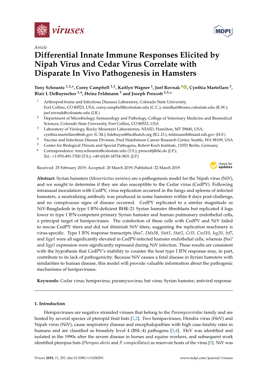 Differential Innate Immune Responses Elicited by Nipah Virus and Cedar Virus Correlate with Disparate in Vivo Pathogenesis in Hamsters