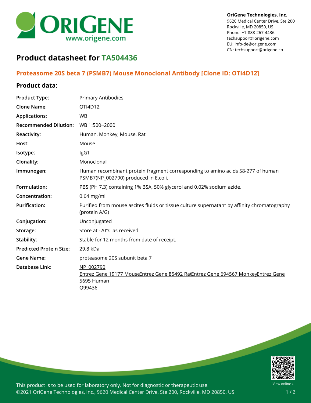 Proteasome 20S Beta 7 (PSMB7) Mouse Monoclonal Antibody [Clone ID: OTI4D12] Product Data