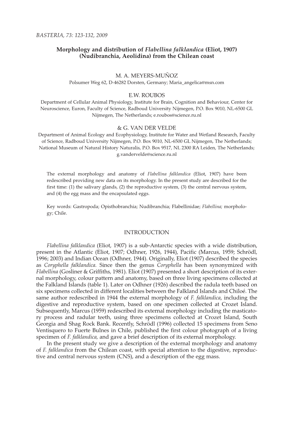 Morphology and Distribution of Flabellina Falklandica (Eliot, 1907) (Nudibranchia, Aeolidina) from the Chilean Coast