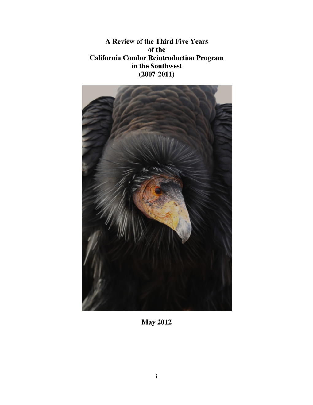 A Review of the Third Five Years of the California Condor Reintroduction Program in the Southwest (2007-2011)