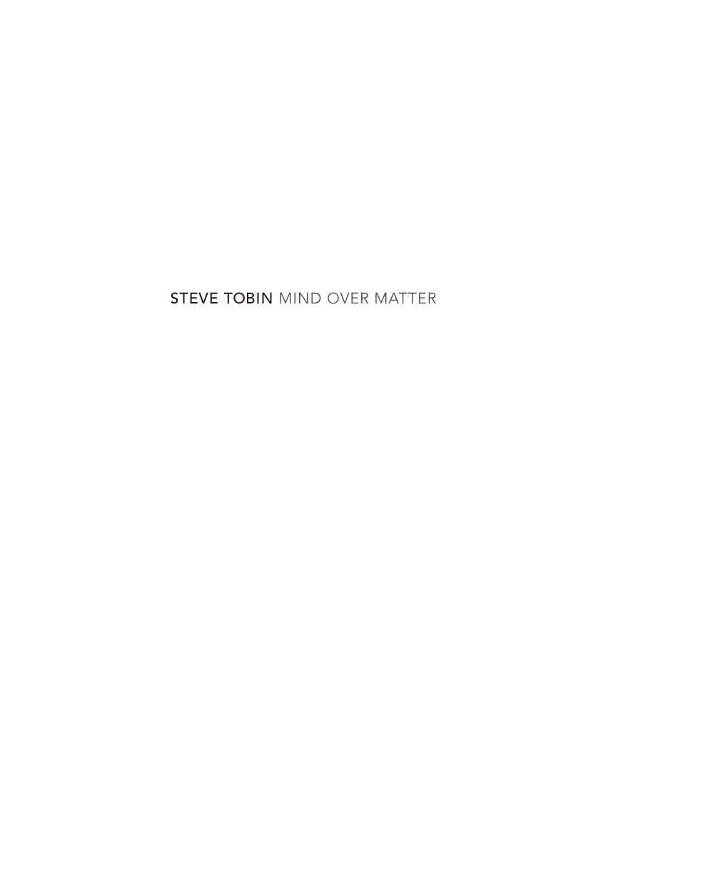 Steve Tobin Mind Over Matter Steelwaters, 2017