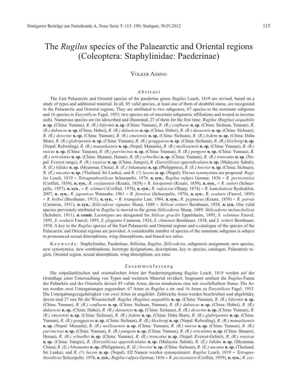 The Rugilus Species of the Palaearctic and Oriental Regions (Coleoptera: Staphylinidae: Paederinae)