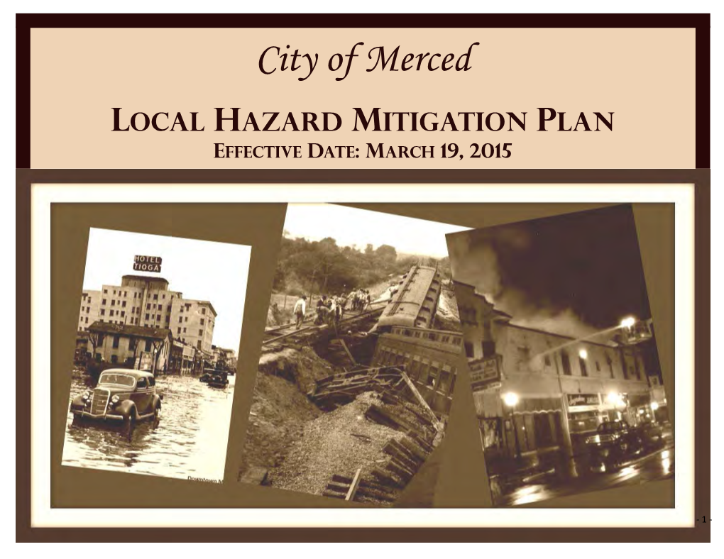 Hazard Mitigation Plan Goals