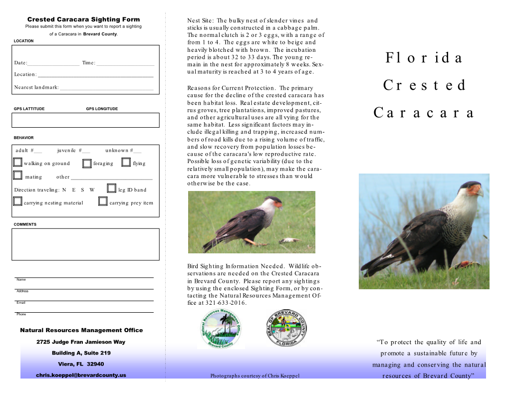 Florida Crested Caracaras Are Found Map Courtesy of Florida Fish and Wildlife Conservation Commission in Open Grassland Or Prairie