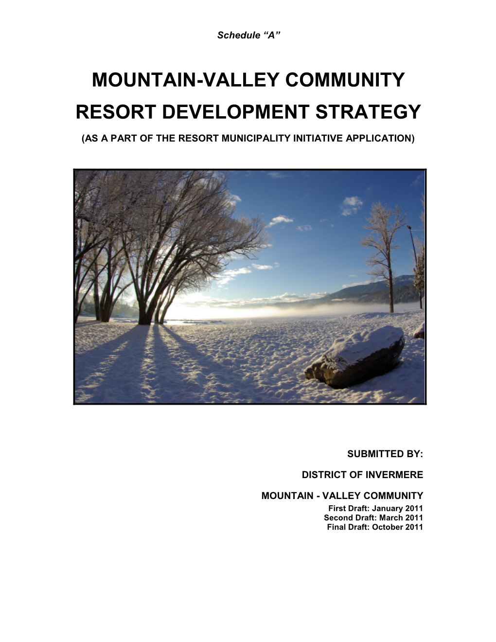 Mountain-Valley Community Resort Development Strategy