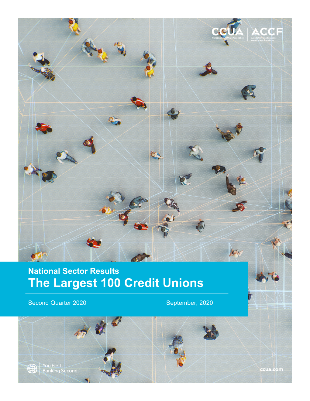 National Sector Results: the Largest 100 Credit Unions