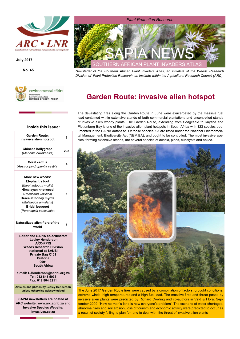 SAPIA NEWS No. 45, July 2017