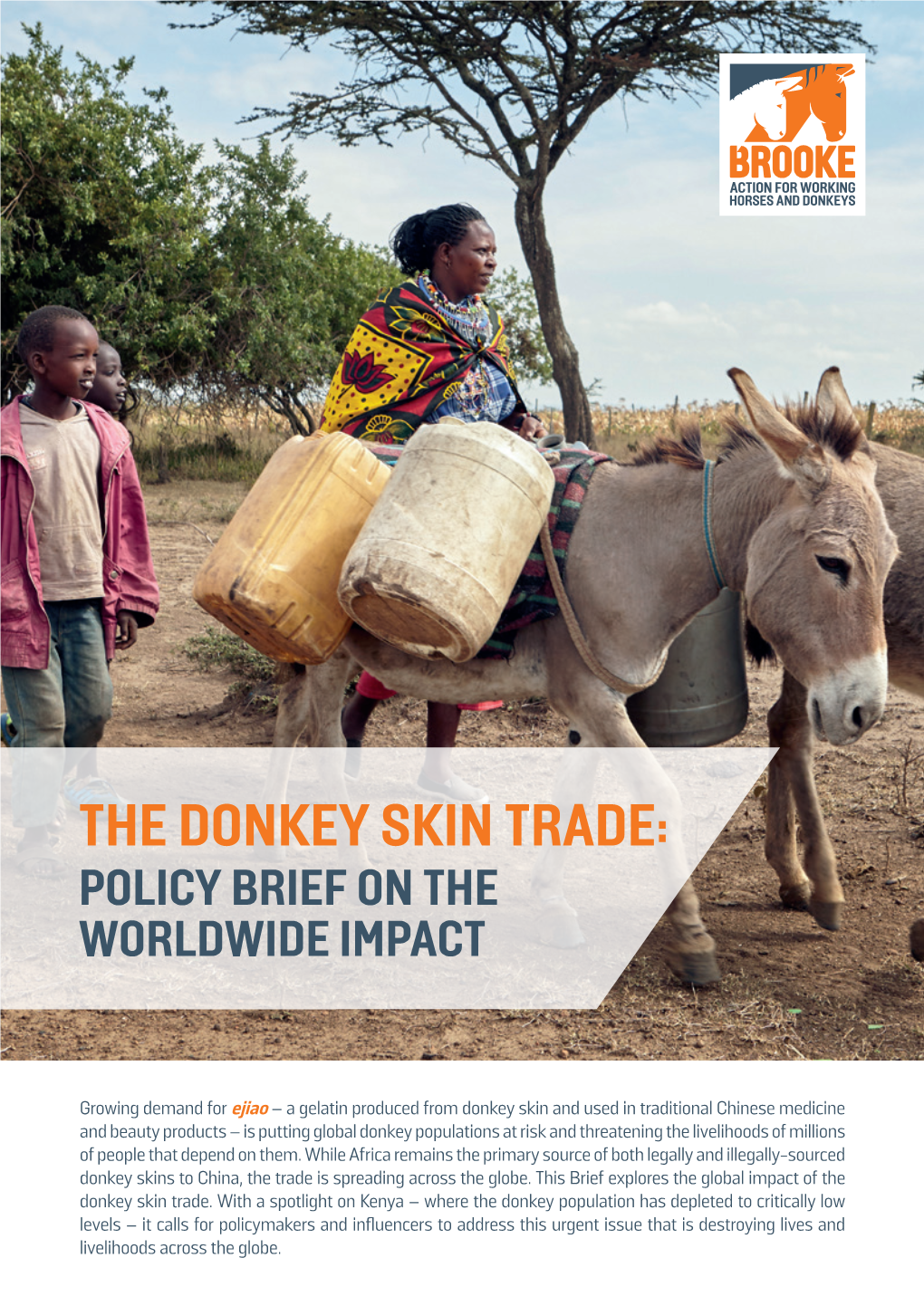 The Donkey Skins Trade: Policy Brief on the Worldwide Impact